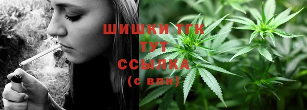 прущие грибы Новозыбков