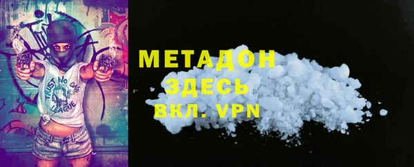 прущие грибы Новозыбков