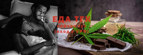 прущие грибы Новозыбков
