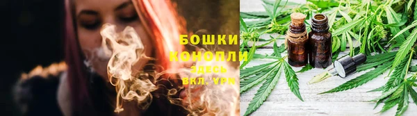 альфа пвп Новокубанск