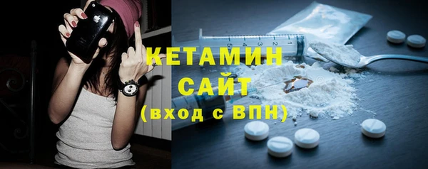 шишки Дубна
