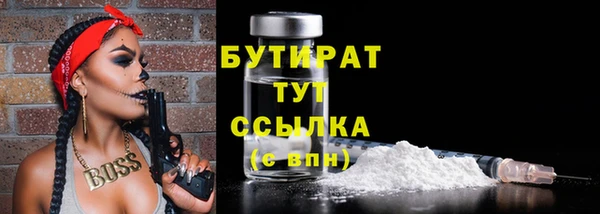 прущие грибы Новозыбков
