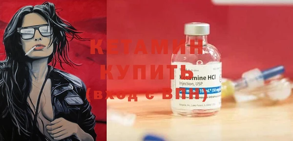 прущие грибы Новозыбков