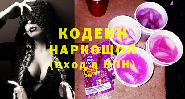 прущие грибы Новозыбков
