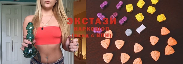 прущие грибы Новозыбков