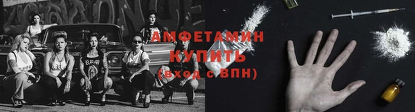 прущие грибы Новозыбков