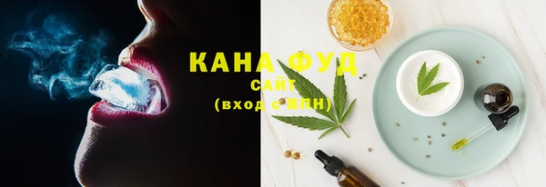 шишки Дубна
