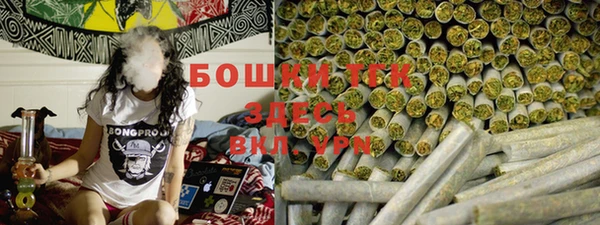 прущие грибы Новозыбков