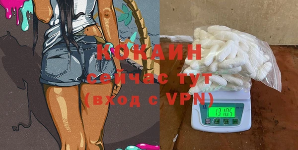 прущие грибы Новозыбков