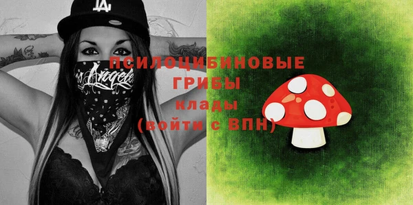 прущие грибы Новозыбков