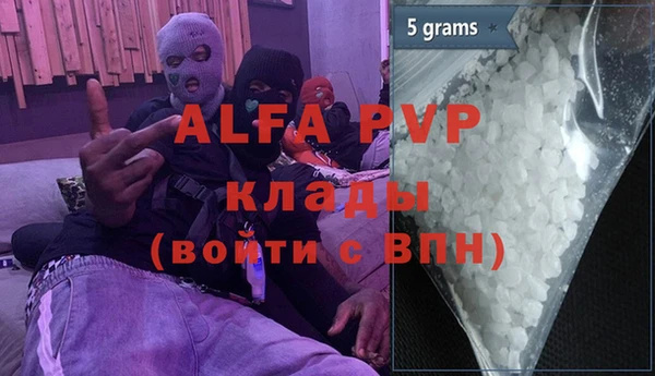 прущие грибы Новозыбков