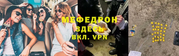 прущие грибы Новозыбков