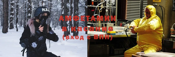 прущие грибы Новозыбков