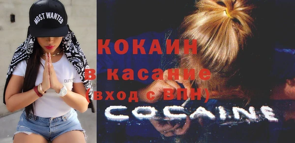 прущие грибы Новозыбков