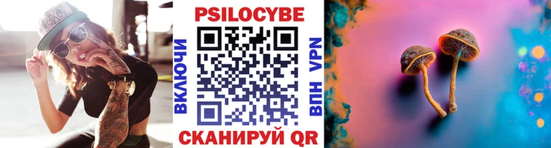 Псилоцибиновые грибы Cubensis  кракен зеркало  Прохладный 