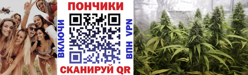 Конопля Ganja  дарнет шоп  Прохладный 